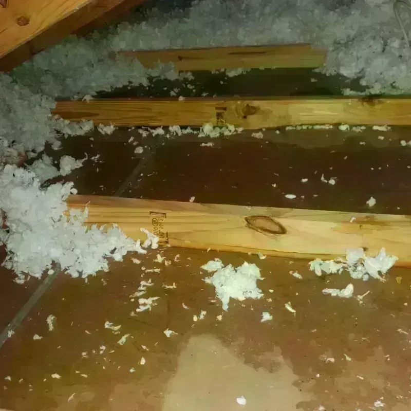 Attic Water Damage in Suffolk County, MA