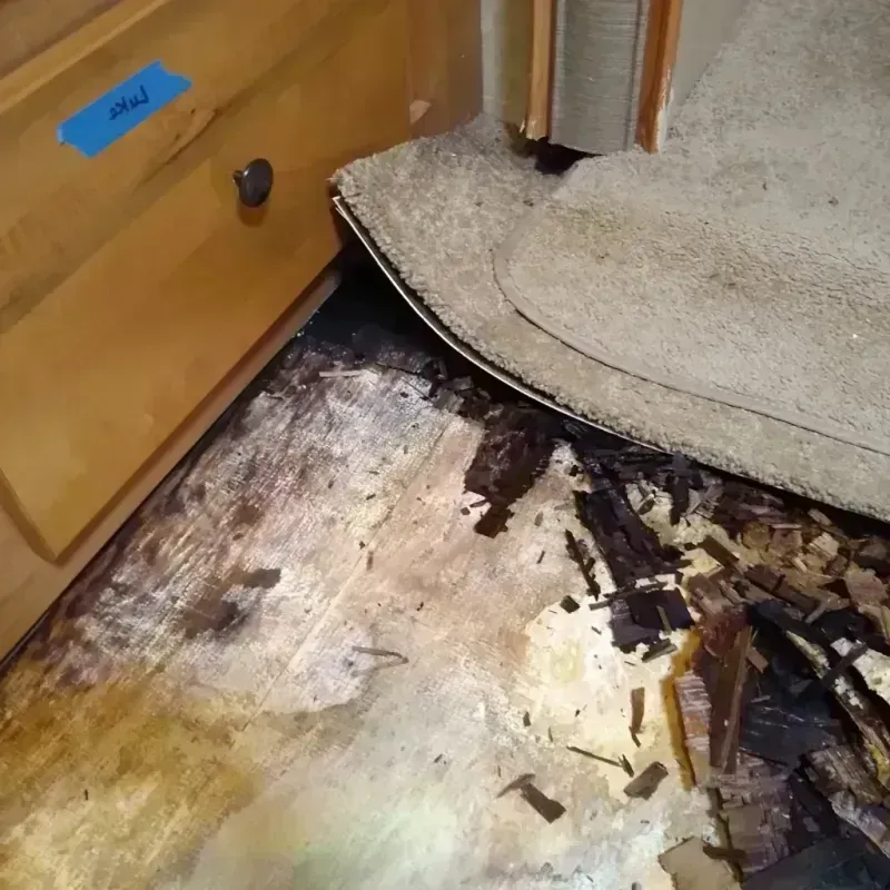 Best Wood Floor Water Damage Service in Suffolk County, MA